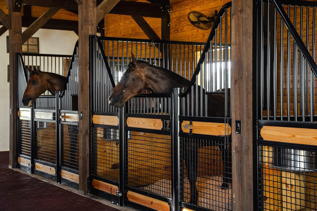 10 9 25 South Carolina Horse Barn Mc Govern SC web 5