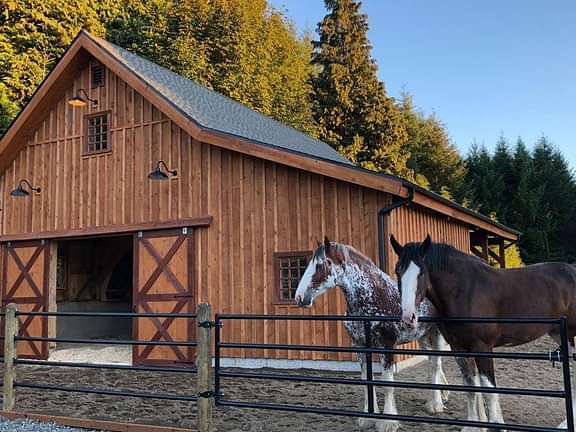 Ponderosa Country Barn BAR1217 1