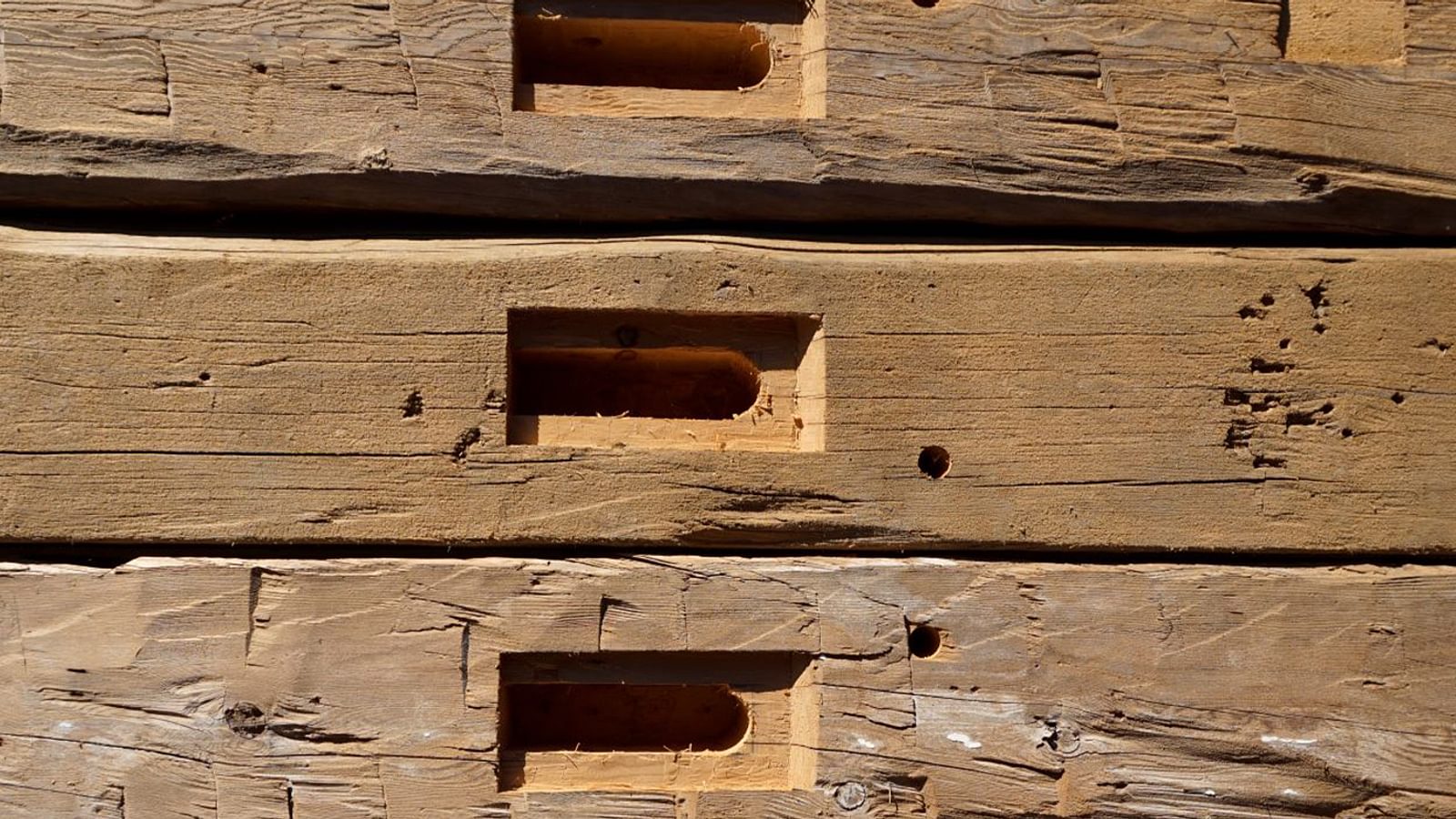 TIMBERLYNE WEBSITE Header Images Wood Species Finish Reclaimed
