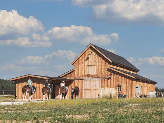 Timberlyne Clydesdale Outpost Barn Timber Frame 1