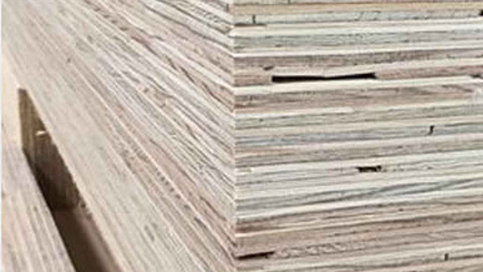 Mass timber mass plywood panel