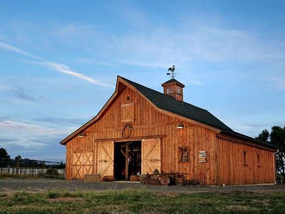 Barns ponderosa country LMC914 2 DSCF3833main