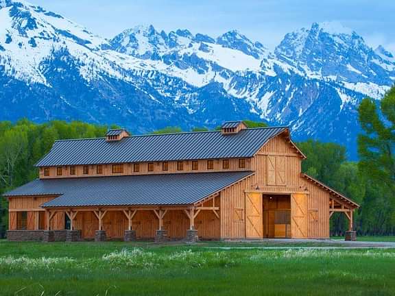 Barns western horse 1 Hansen BHA311 Main image