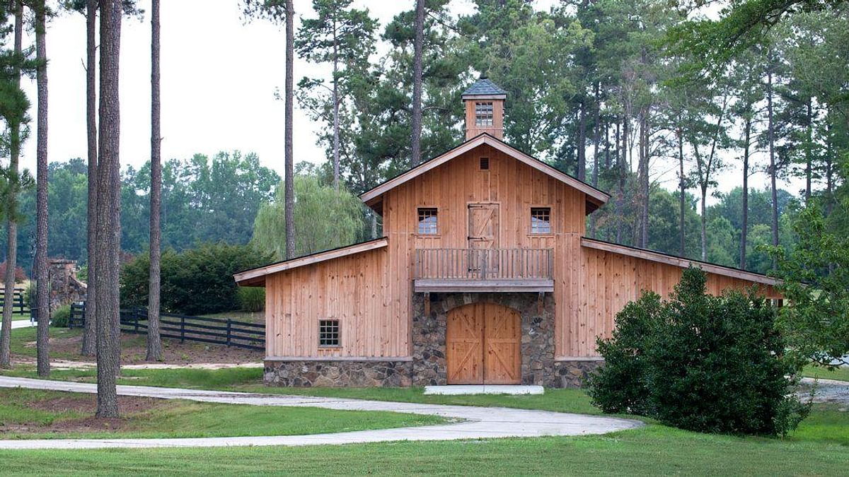 Barns western horse 17 Milani DMI1101 Main image