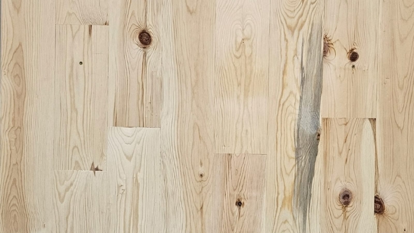 Temp File For Share 20240801 142437