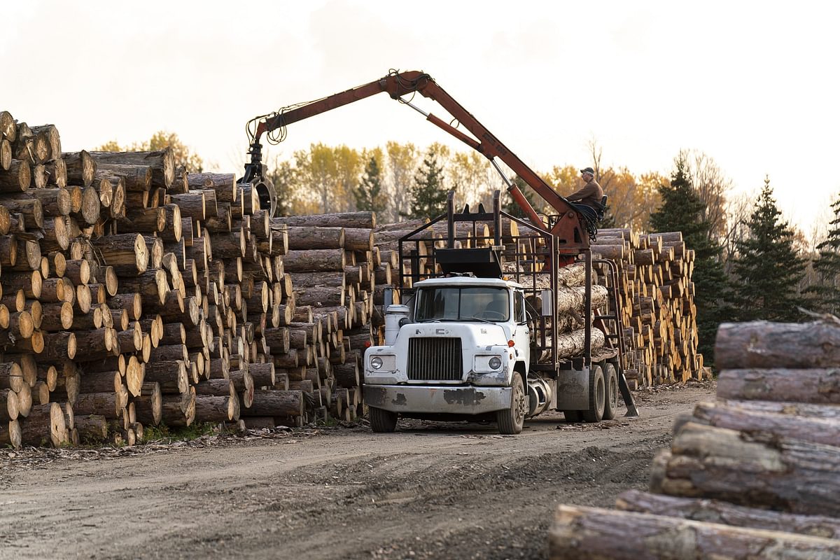 13 DSC02843 A Resized WEB