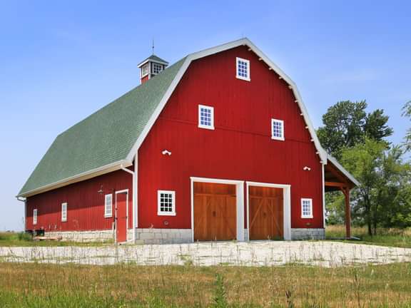 3 29 21 The Cardinal Don Swanson Illinois web 9