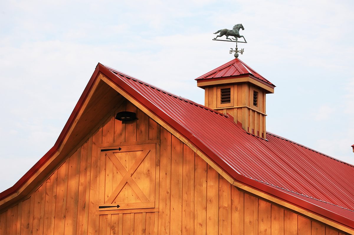 5 DSCF3398 0001s 0001 Weathervane