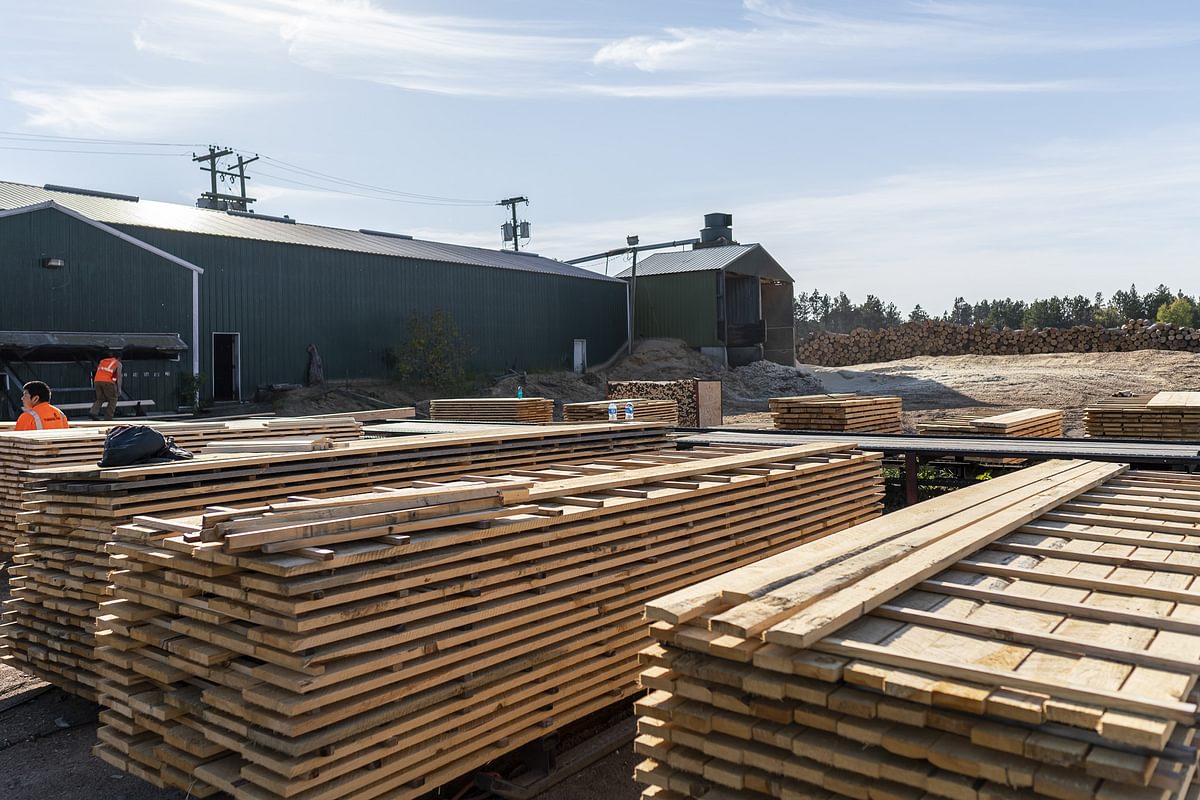 9 DSC02808 A Resized WEB